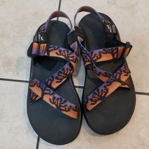 Joshua tree chaco